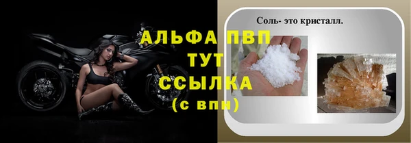 ешки Инта