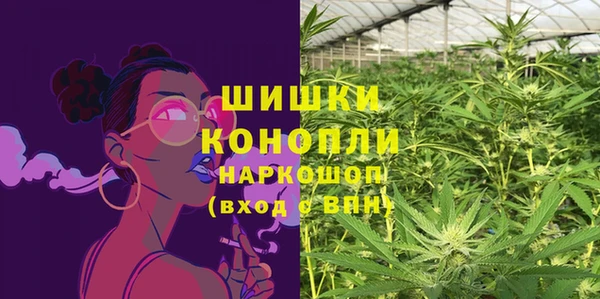 ешки Инта