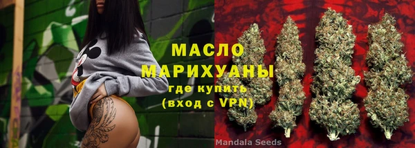 ешки Инта