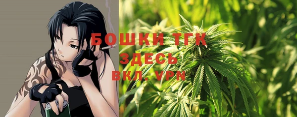 ешки Инта