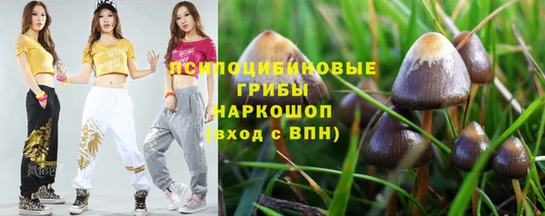 молекула духа Иннополис