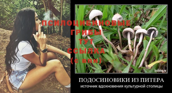 мяу мяу кристалл Инсар