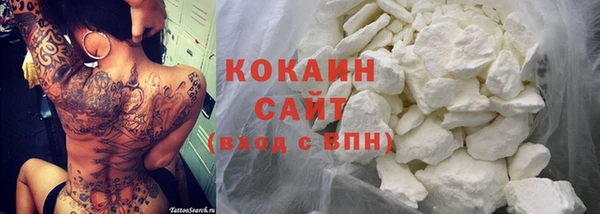 ешки Инта