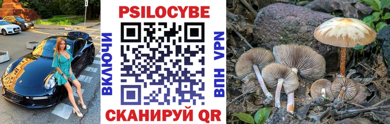 Купить закладки  Зеленокумск  Псилоцибиновые грибы Cubensis 